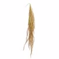 Supergreens Texniti Kremasti Fteri Adenium Kafe 117cm 8331-7