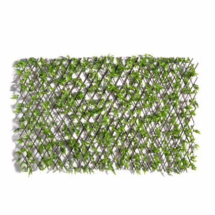 Supergreens Τεχνητή Πτυσσόμενη Φυλλωσιά Πυξάρι 100x200cm 8351-7