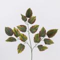 Supergreens Texnito Klonari Trixromo 72cm 8401-7