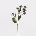 Supergreens Texnito Klonari Mouro Ble 63cm 8601-7