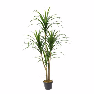 Supergreens Τεχνητό Δέντρο Δράκαινα ''Anita''  150cm 9280-6