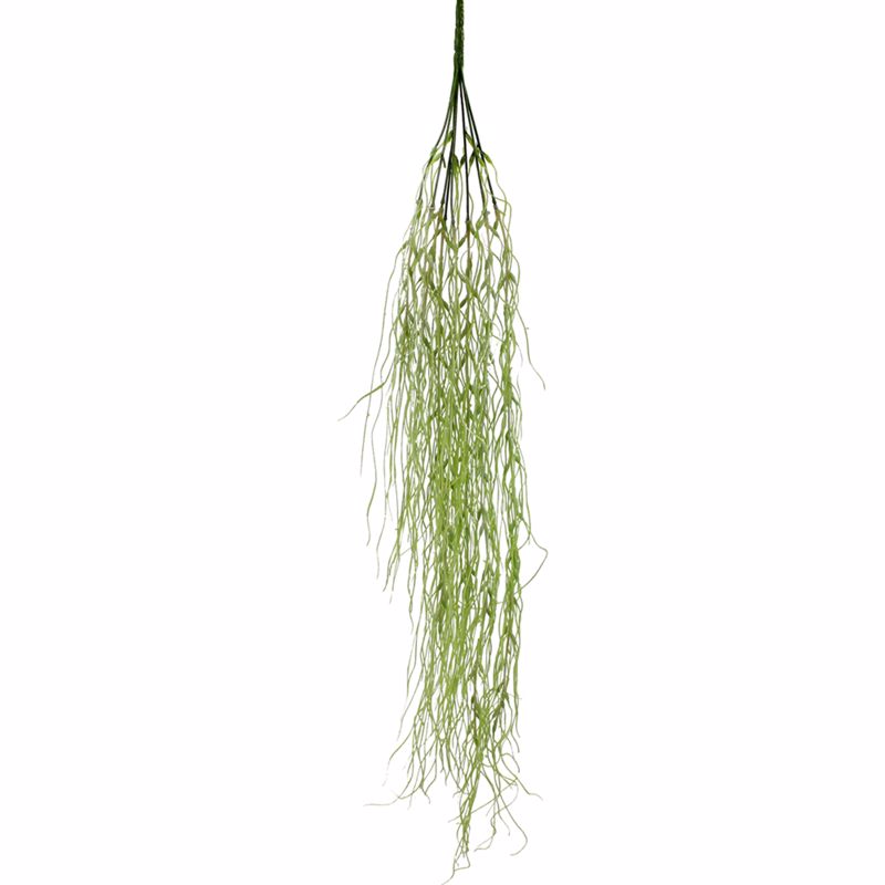 Supergreens Texniti Kremasti Ripsalida Verdanus Prasini 90cm 9291-7