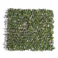 Supergreens Texniti Ptussomeni Fullosia Seflera Arboricola 100x200cm 9351-7