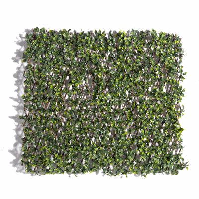 Supergreens Τεχνητή Πτυσσόμενη Φυλλωσιά Σεφλέρα Arboricola 100x200cm 9351-7