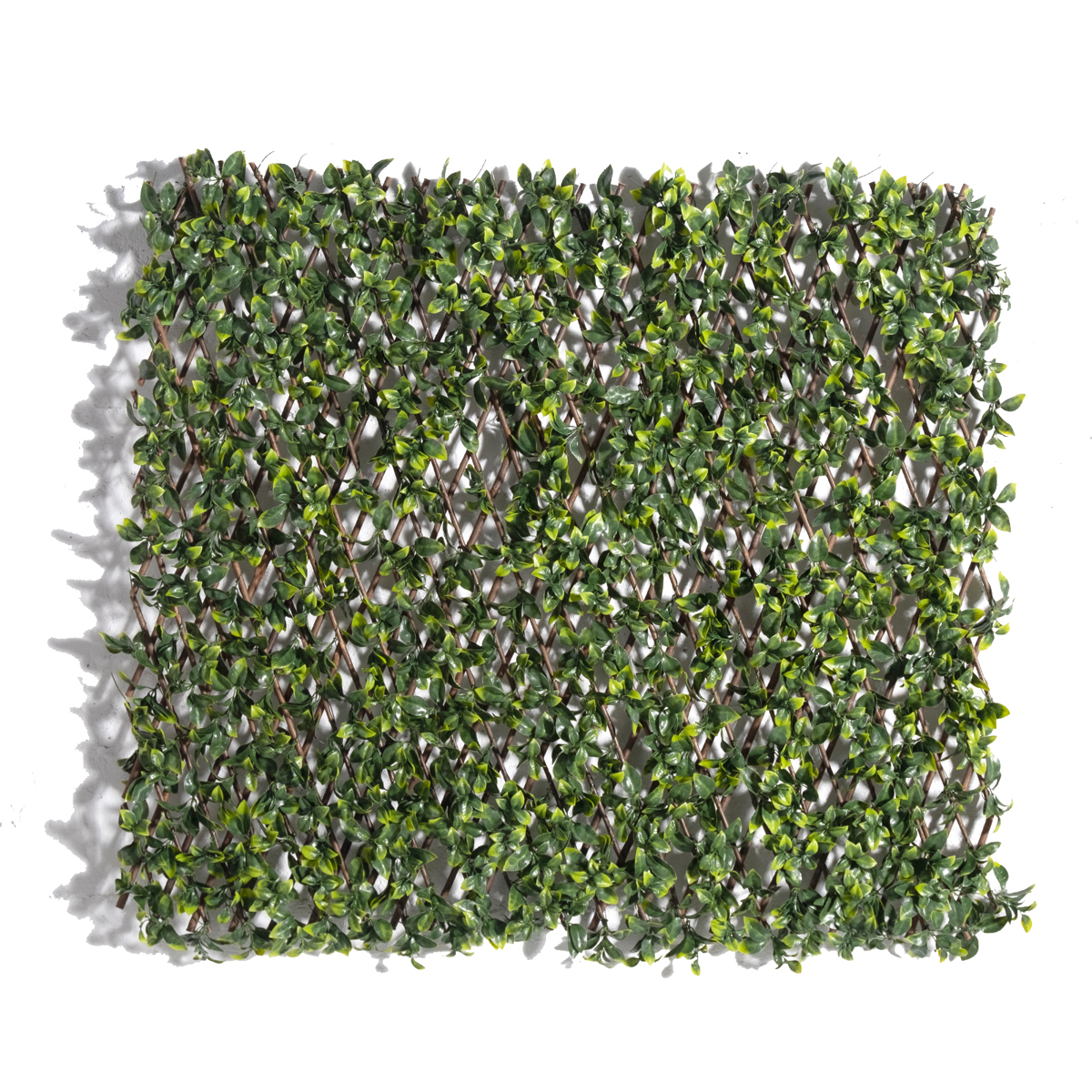 Supergreens Texniti Ptussomeni Fullosia Seflera Arboricola 100x200cm 9351-7