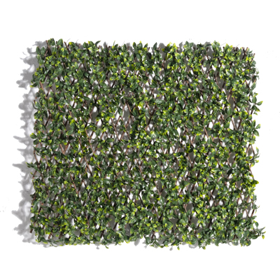 Supergreens Τεχνητή Πτυσσόμενη Φυλλωσιά Σεφλέρα Arboricola 100x200cm 9351-7