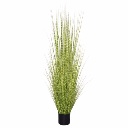 Supergreens Τεχνητό Φυτό Στίπα ''Zebra'' Πράσινο 170cm 9390-6