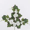 Supergreens Texnito Klonari Kissos 76cm 9401-7