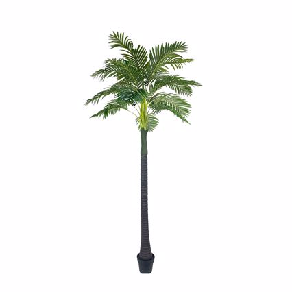 Supergreens Τεχνητό Δέντρο Αρέκα ''Arborechentis'' Πράσινο 280cm 9411-6