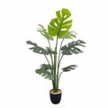 Supergreens Texnito Dentro Monstera 120cm 9560-6