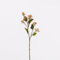 Supergreens Texnito Klonari Mouro Roz 63cm 9601-7