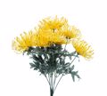 Zaros Bouketo me 9 Anthi Proteas Kitrino 70cm AX587