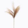 Zen Collection Texnito Kladi Pampas Bez 110cm me 18 Kladia 49311