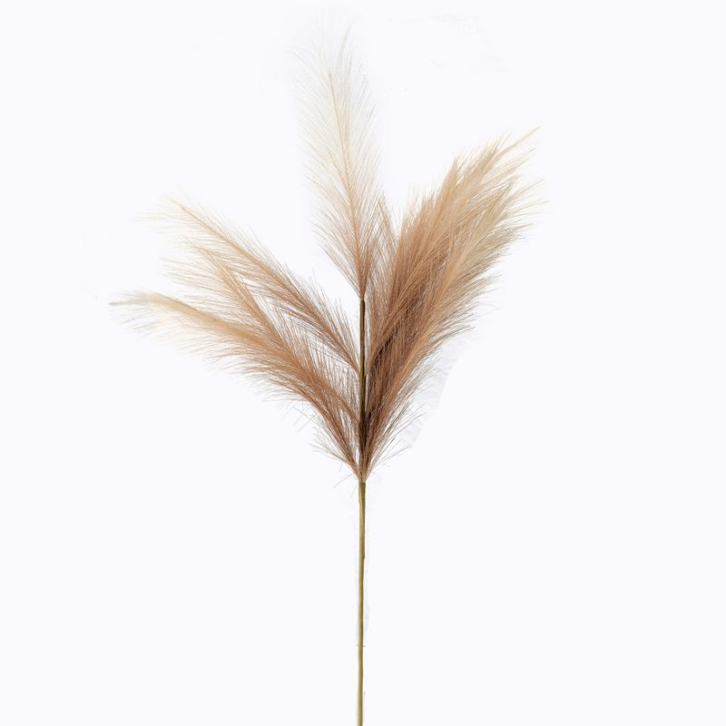 Zen Collection Texnito Kladi Pampas Bez 110cm me 18 Kladia 49311