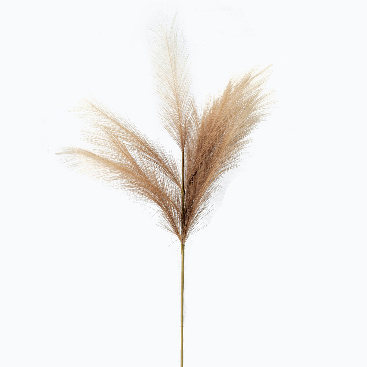 Zen Collection Texnito Kladi Pampas Bez 110cm me 18 Kladia 49311