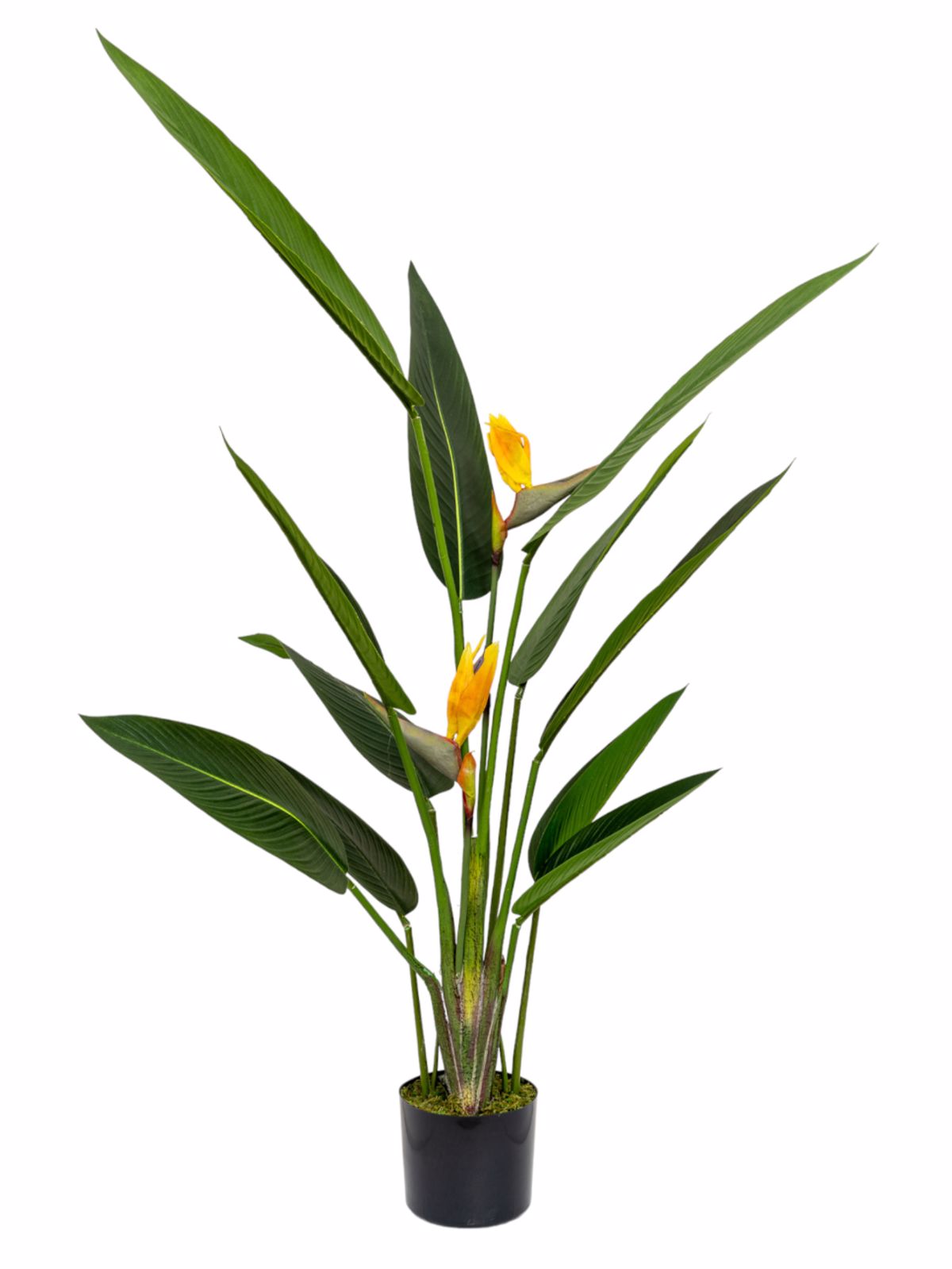 Zen Collection Futo Paradeisou me Enteka Fulla kai Duo Louloudia se Gastra 153cm 49970