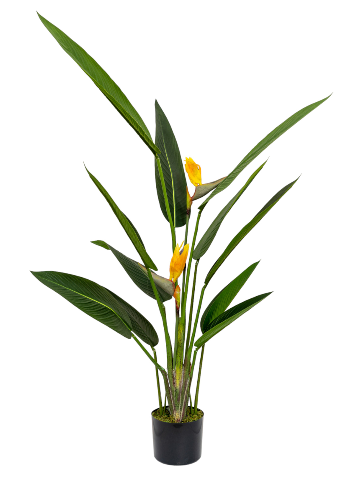 Zen Collection Futo Paradeisou me Enteka Fulla kai Duo Louloudia se Gastra 153cm 49970