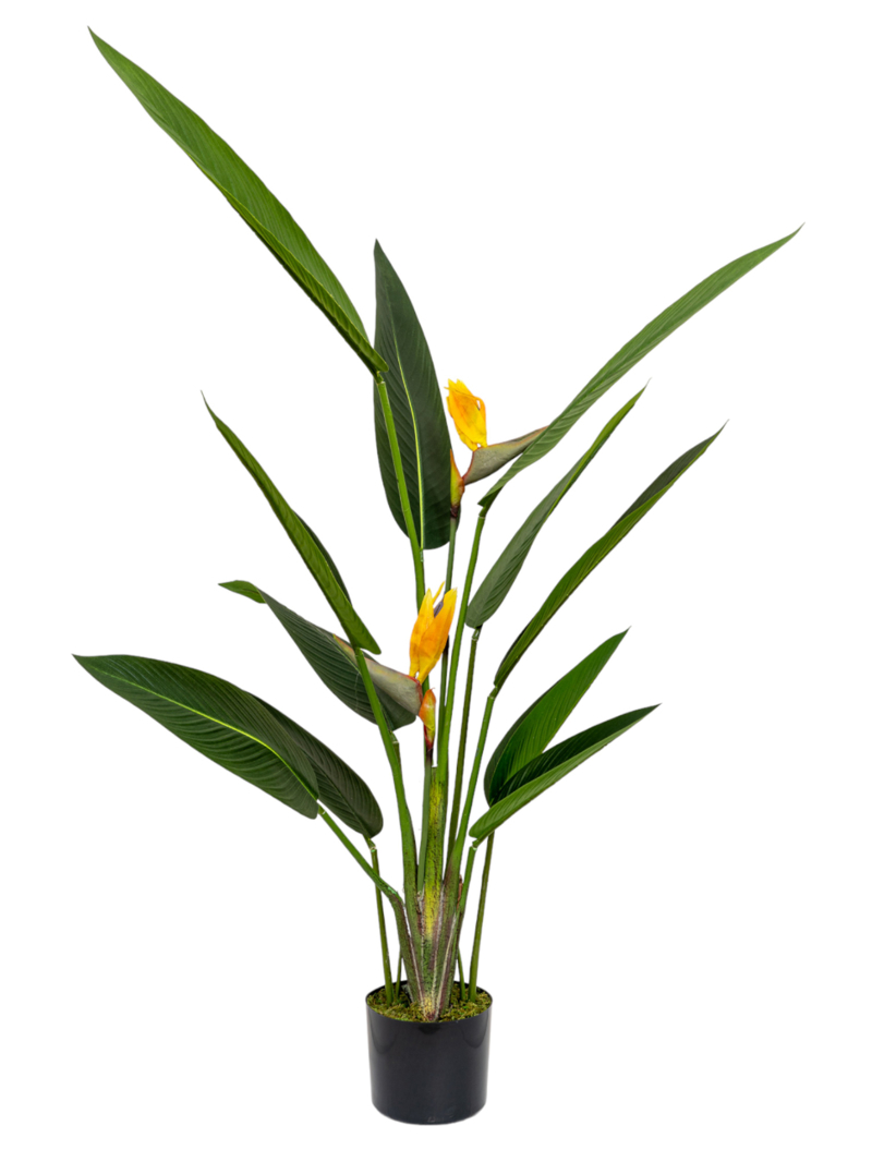 Zen Collection Futo Paradeisou me Enteka Fulla kai Duo Louloudia se Gastra 153cm 49970
