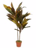 Zen Collection Futo Kordulini se Gastra 110cm 49973