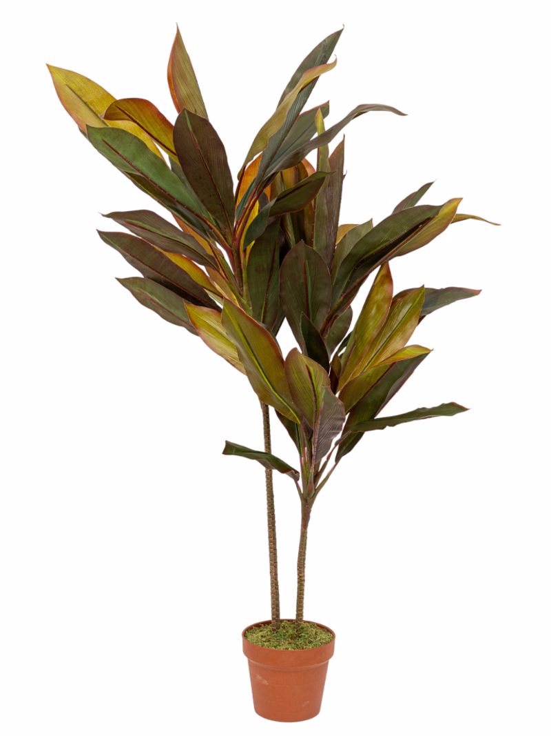 Zen Collection Futo Kordulini se Gastra 110cm 49973