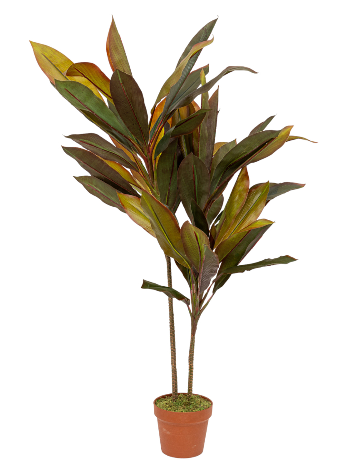 Zen Collection Futo Kordulini se Gastra 110cm 49973