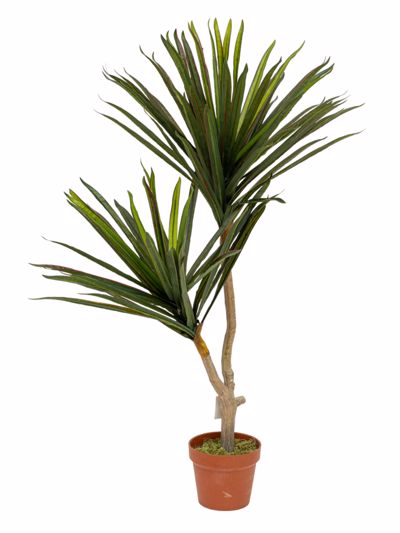 Zen Collection Φυτό Γιούκα σε Γλάστρα 110cm 49977