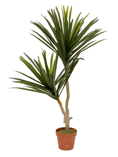 Zen Collection Φυτό Γιούκα σε Γλάστρα 110cm 49977